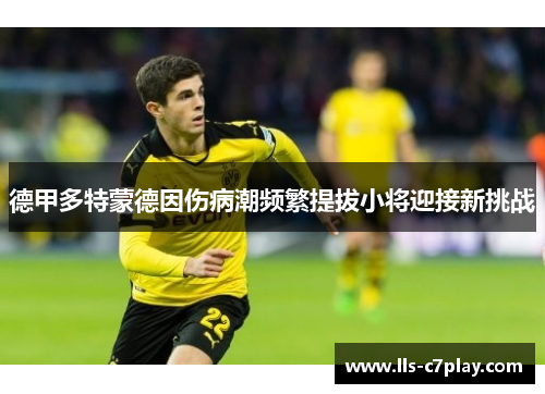 德甲多特蒙德因伤病潮频繁提拔小将迎接新挑战