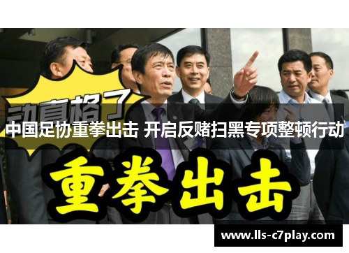 中国足协重拳出击 开启反赌扫黑专项整顿行动